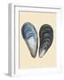 Bivalve Shells I-Michael Willett-Framed Art Print