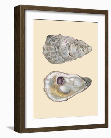 Bivalve Shells IV-Michael Willett-Framed Art Print