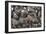 Bivalves for Sale (Kai), Suva Sea Food Market, Suva, Viti Levu, Fiji-Pete Oxford-Framed Photographic Print