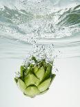 Artichoke in Water-Biwa-Photographic Print