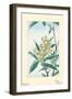 Biwa Loquat-Megata Morikaga-Framed Art Print