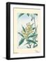 Biwa Loquat-Megata Morikaga-Framed Art Print