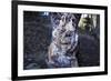 bizarre dead wood-Klaus Scholz-Framed Photographic Print