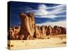 Bizarre Sandstone Cliffs in Sahara Desert, Tassili N'ajjer, Algeria-DmitryP-Stretched Canvas