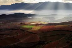 Early Spring On Red Land-BJ Yang-Photographic Print