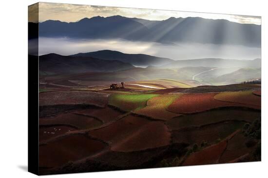 Stretched Canvas Print, , large