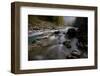 Bjelovac Cascade in Moonlight, River Tara, Durmitor Np, Montenegro, October 2008-Radisics-Framed Photographic Print