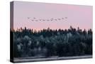 Stretched Canvas