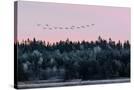 Stretched Canvas