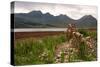 Bla Bheinn across Loch Slapin, Skye, Highland, Scotland-Peter Thompson-Stretched Canvas