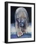 Black, 2016-Mark Adlington-Framed Giclee Print