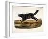 Black American Wolf, Male, 1845-John Woodhouse Audubon-Framed Premium Giclee Print