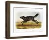 Black American Wolf-John James Audubon-Framed Premium Giclee Print