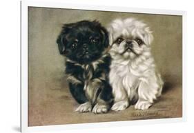 Black and a White Pekingese Puppy Sit Close Together-P. Kirmse-Framed Art Print