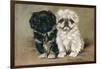 Black and a White Pekingese Puppy Sit Close Together-P. Kirmse-Framed Art Print