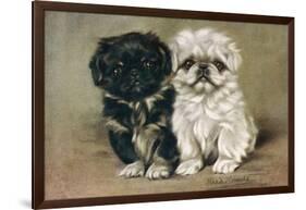 Black and a White Pekingese Puppy Sit Close Together-P. Kirmse-Framed Art Print