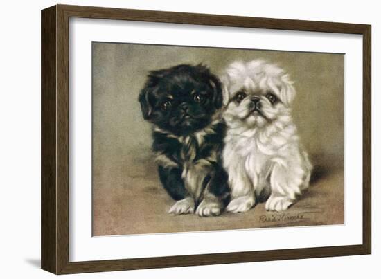 Black and a White Pekingese Puppy Sit Close Together-P. Kirmse-Framed Art Print