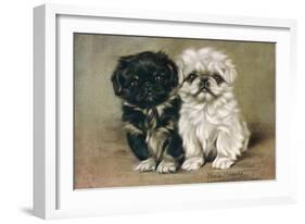 Black and a White Pekingese Puppy Sit Close Together-P. Kirmse-Framed Art Print