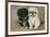 Black and a White Pekingese Puppy Sit Close Together-P. Kirmse-Framed Art Print