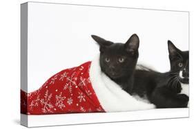 Black and Black and White Kittens, Buxie and Tuxie, 10 Weeks, in a Father Christmas Hat-Mark Taylor-Stretched Canvas