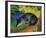 Black and Blue Fox-Franz Marc-Framed Giclee Print