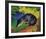 Black and Blue Fox-Franz Marc-Framed Giclee Print