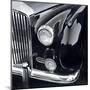 Black and Chrome II-Ethan Harper-Mounted Art Print