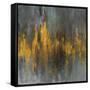 Black and Gold Abstract-Danhui Nai-Framed Stretched Canvas