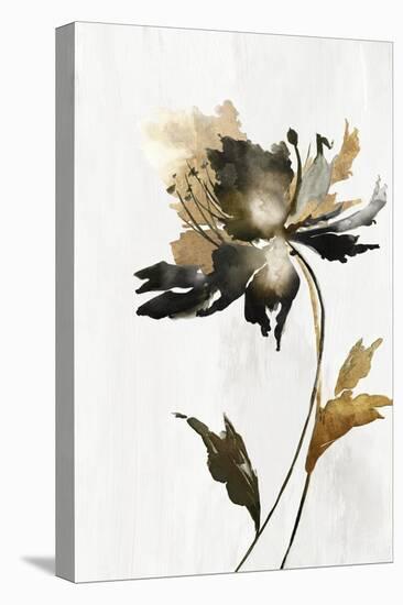 Black and Gold Floral-Alex Black-Stretched Canvas