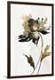 Black and Gold Floral-Alex Black-Framed Art Print