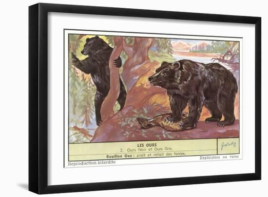 Black and Gray Bears-null-Framed Art Print