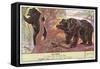 Black and Gray Bears-null-Framed Stretched Canvas