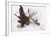 Black and Red Abstract Brush Painting-shooarts-Framed Art Print