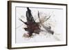 Black and Red Abstract Brush Painting-shooarts-Framed Art Print