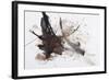 Black and Red Abstract Brush Painting-shooarts-Framed Art Print