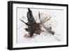 Black and Red Abstract Brush Painting-shooarts-Framed Art Print