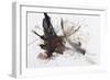 Black and Red Abstract Brush Painting-shooarts-Framed Premium Giclee Print