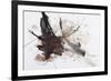 Black and Red Abstract Brush Painting-shooarts-Framed Art Print