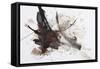 Black and Red Abstract Brush Painting-shooarts-Framed Stretched Canvas