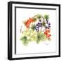Black and Red Currants with Green Grapes, 1986-Nell Hill-Framed Giclee Print