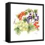 Black and Red Currants with Green Grapes, 1986-Nell Hill-Framed Stretched Canvas