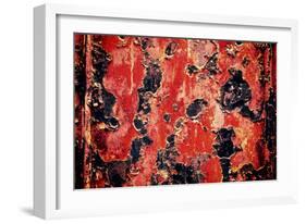 Black and Red Rust-null-Framed Photo