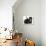 Black-And-Tan Cavalier King Charles Spaniel Puppy and Black Rabbit-Mark Taylor-Photographic Print displayed on a wall