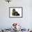 Black-And-Tan Cavalier King Charles Spaniel Puppy and Lionhead Rabbit-Mark Taylor-Framed Photographic Print displayed on a wall