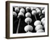 Black And White Abacus-mrvalography-Framed Photographic Print
