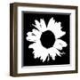 Black And White Abstract Daisy II-Ruth Palmer-Framed Art Print