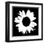 Black And White Abstract Daisy II-Ruth Palmer-Framed Art Print