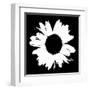 Black And White Abstract Daisy II-Ruth Palmer-Framed Art Print