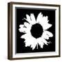 Black And White Abstract Daisy II-Ruth Palmer-Framed Art Print