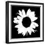 Black And White Abstract Daisy II-Ruth Palmer-Framed Art Print